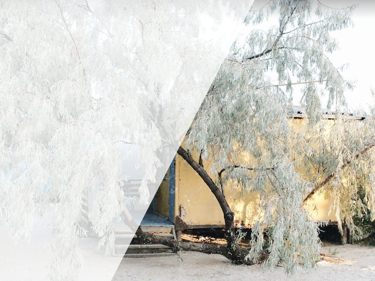 База отдыха «Мотор»