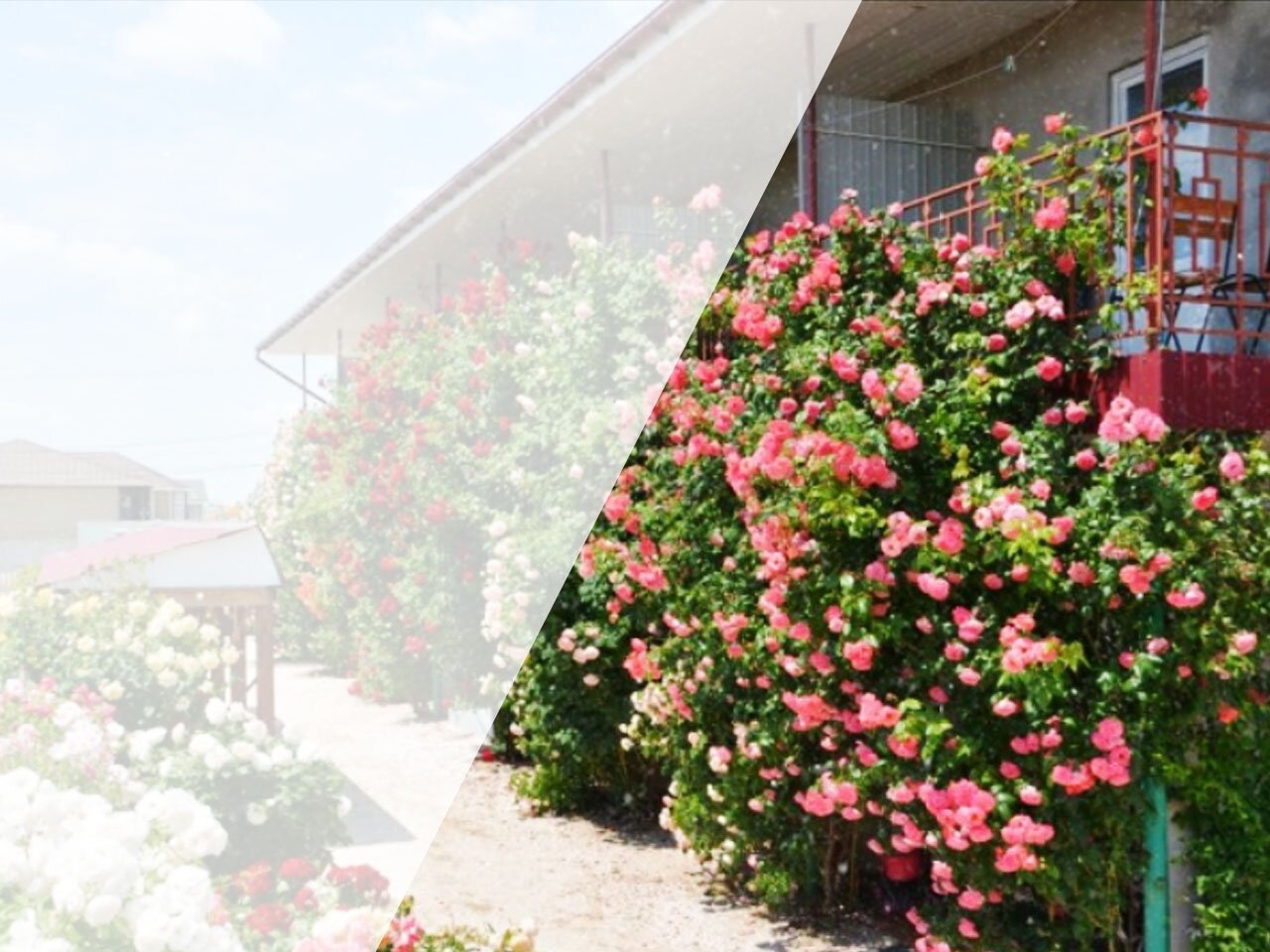 Гостевой дом «Лазурная-12»