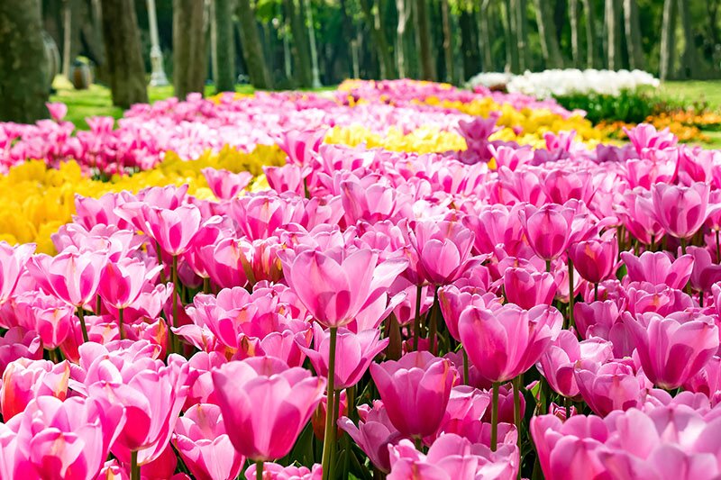 Парк Гюльхане