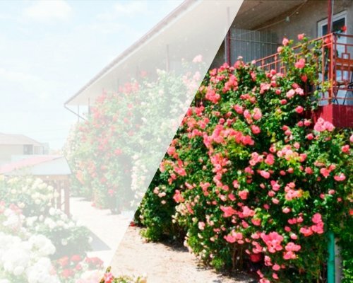 gostevoj-dom-lazurnaya-12