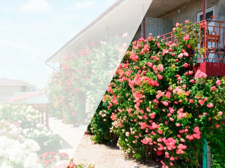 gostevoj-dom-lazurnaya-12